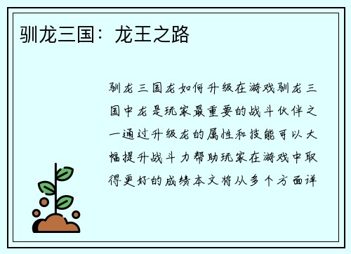 驯龙三国：龙王之路